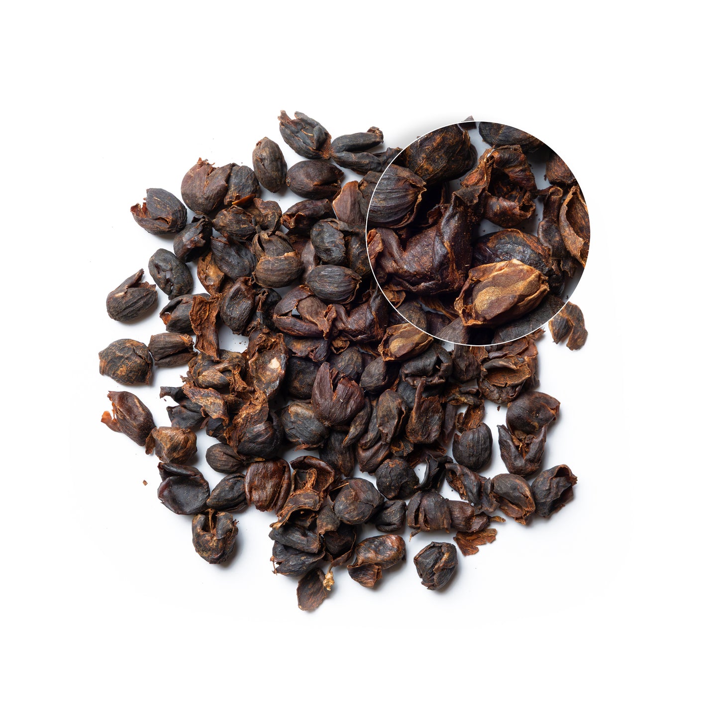 CASCARA