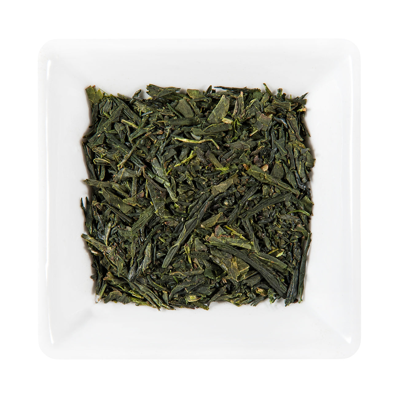 SENCHA