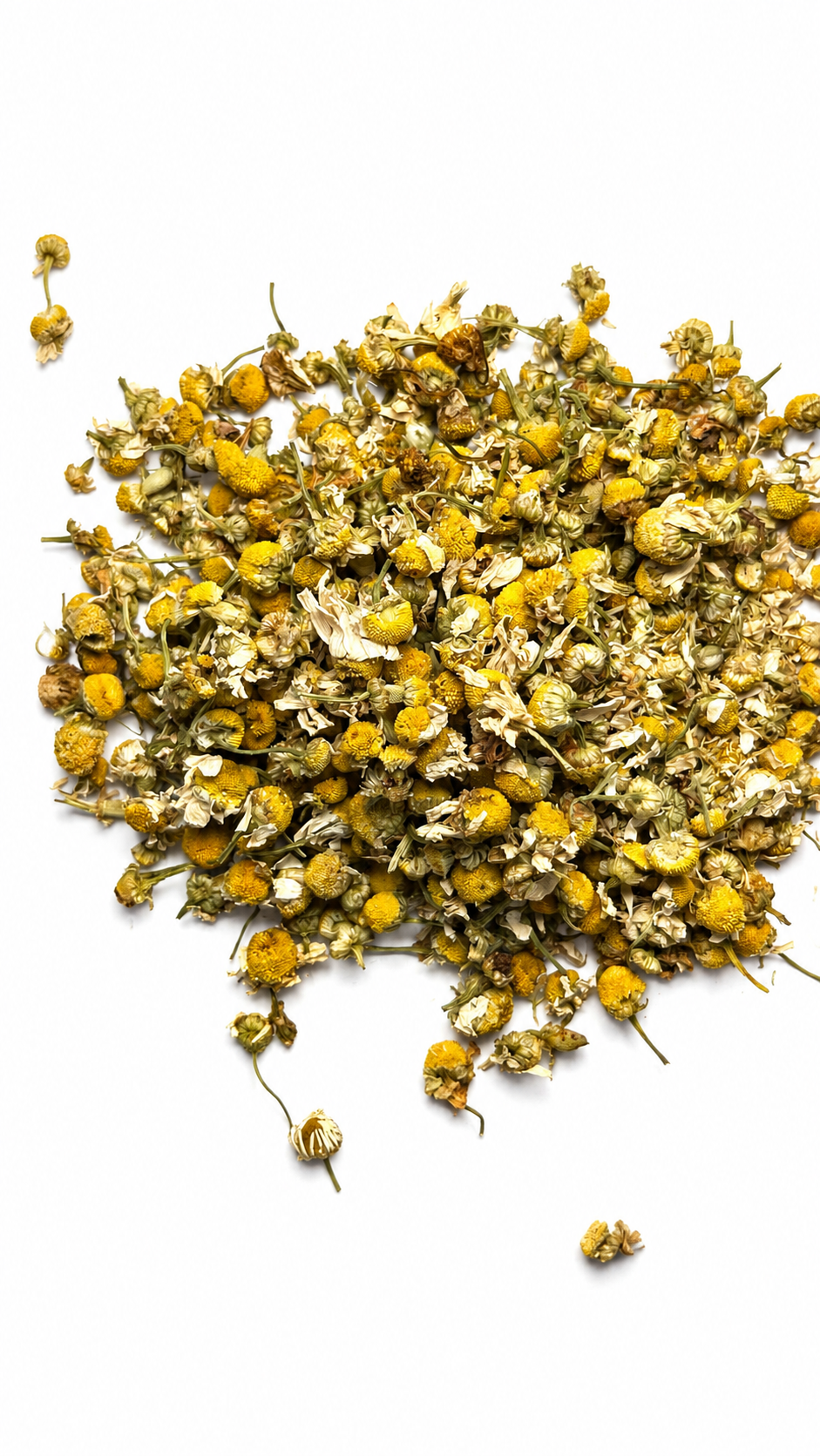 CHAMOMILE BLOSSOM