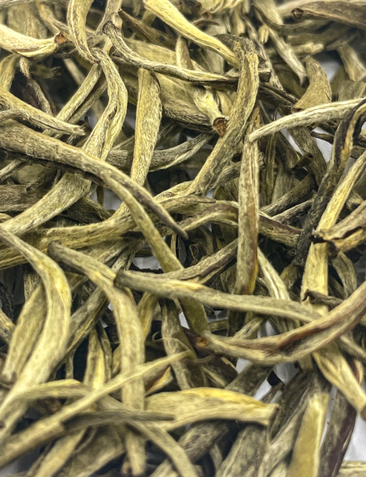 DARJEELING  1662